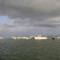 Mullet boats white pelicans 086